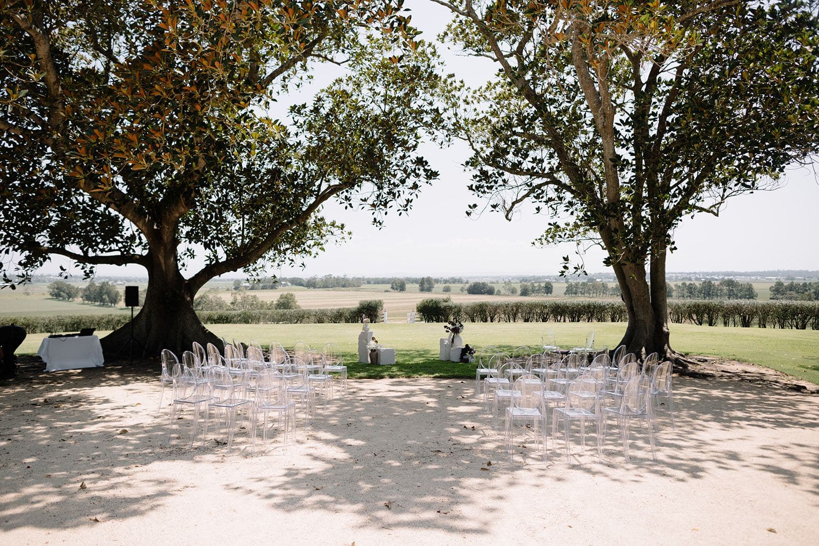 Ghost chairs set beneath fig trees for a Hunter Valley vineyard wedding ceremony